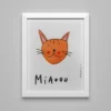 Gatto Orange